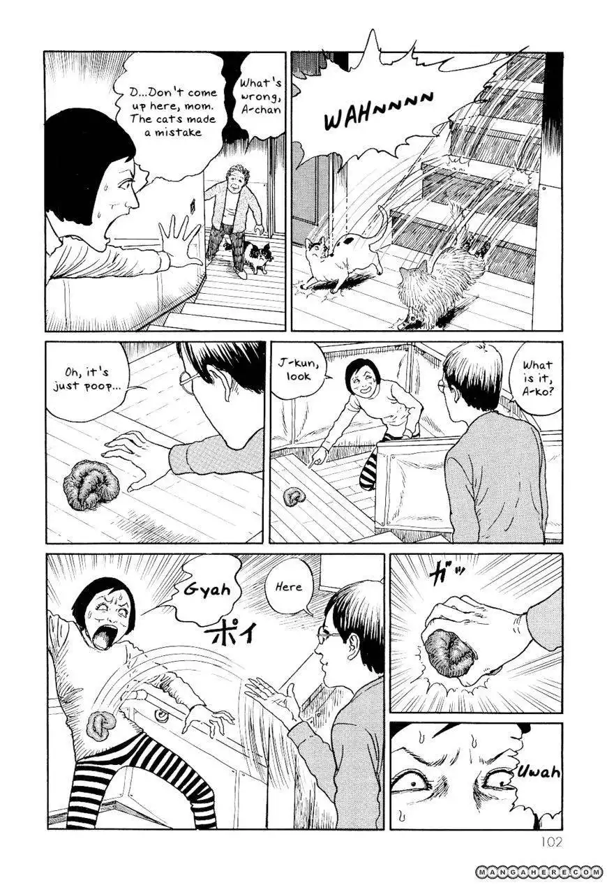 Ito Junji's Cat Diary Chapter 10 2